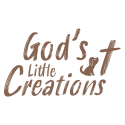 Gods Little Creations