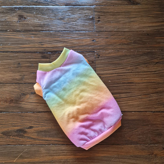 Rainbow Vest Jersey